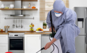 Service Image